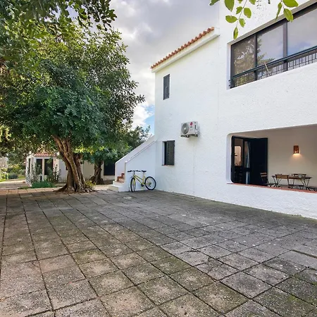 Cozy Pedras Del Rei *